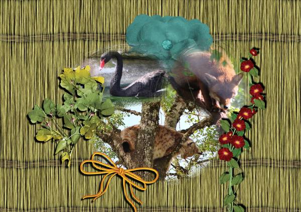 Séjour Corrézien - Avril 2014