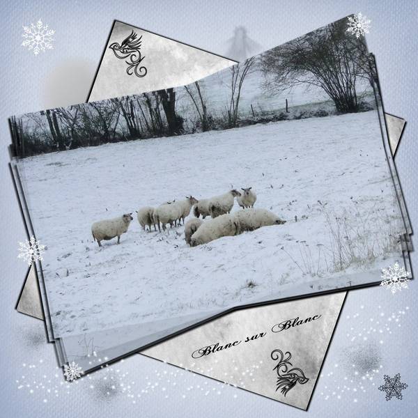 semaine 06 Paysage hivernal  -  Laurette