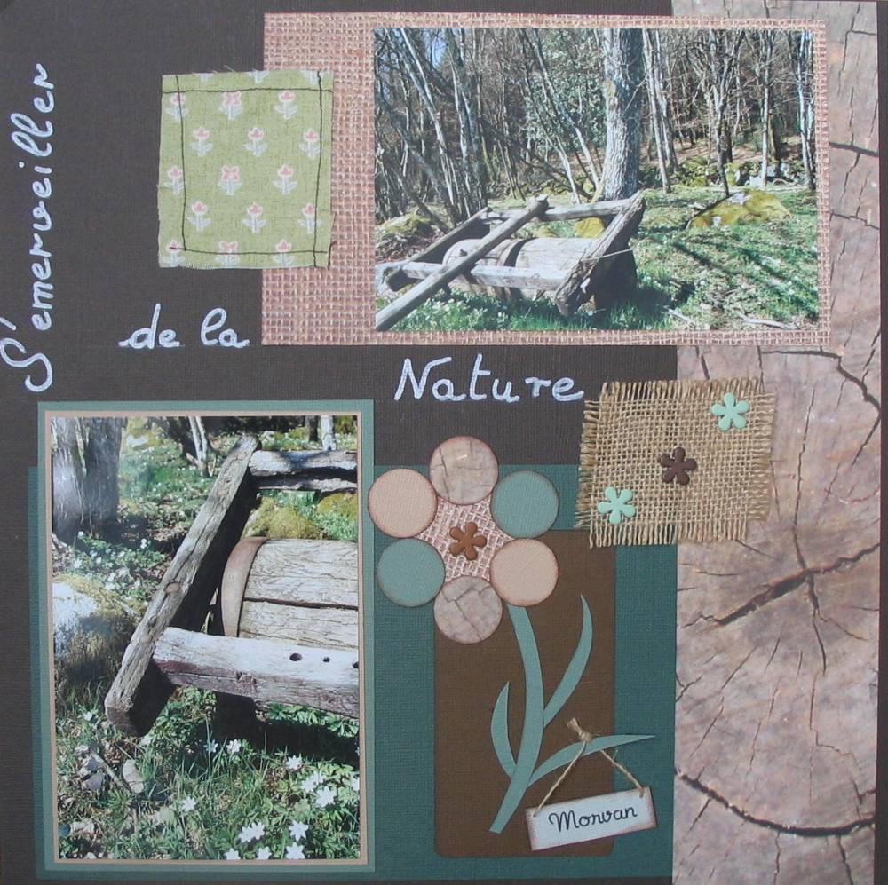 S'émerveiller de la Nature