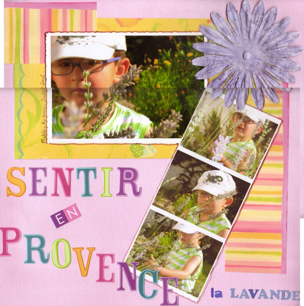 sentir en provence la lavande