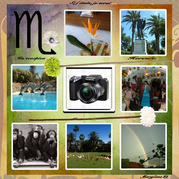 SI J'ETAIS..... DÃ‰FI HUPPE