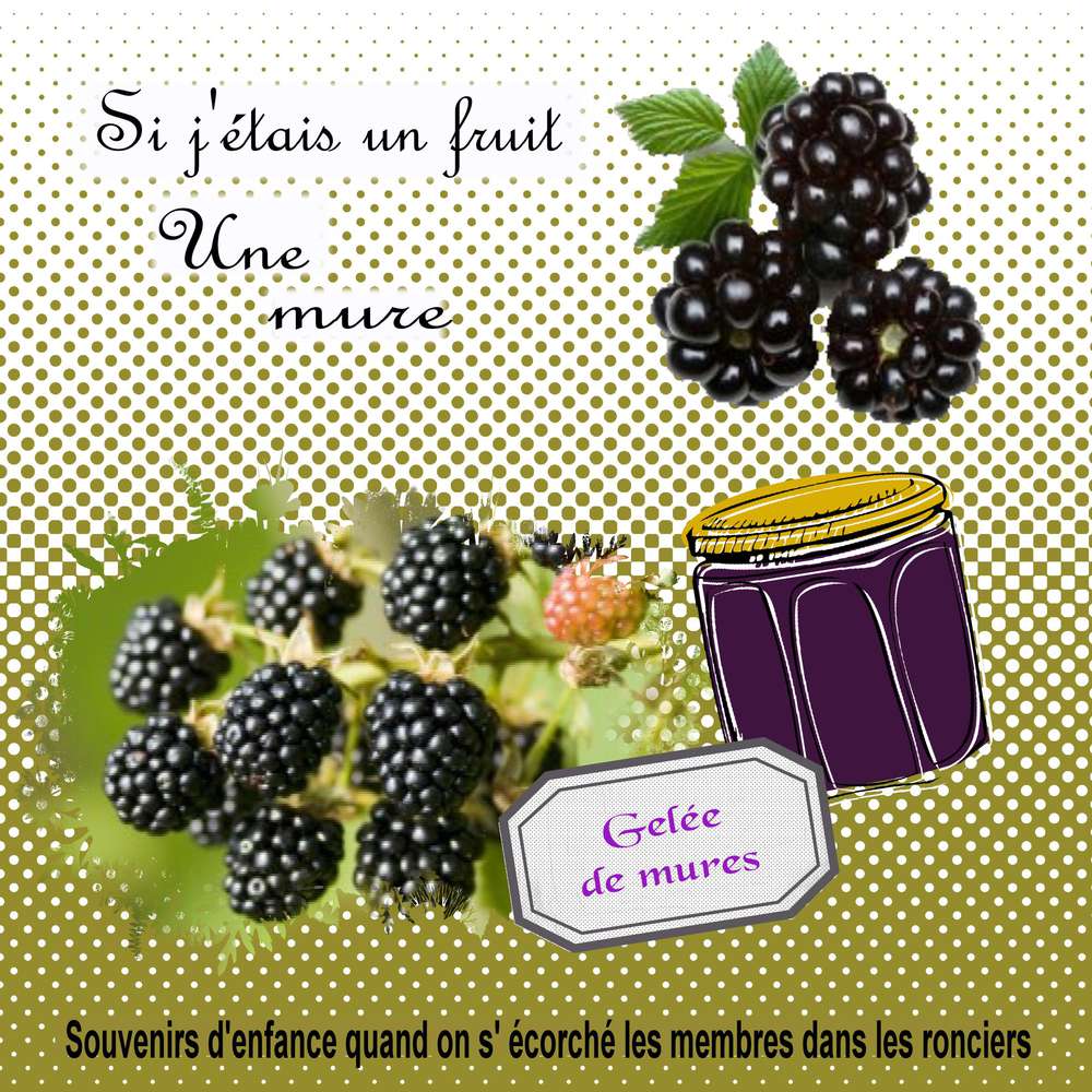 Si j'étais un fruit