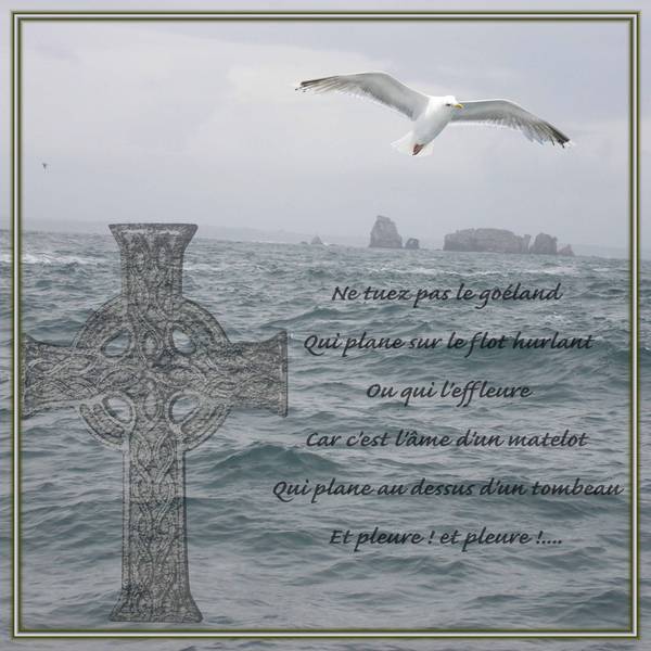 Si j'étais un oiseau