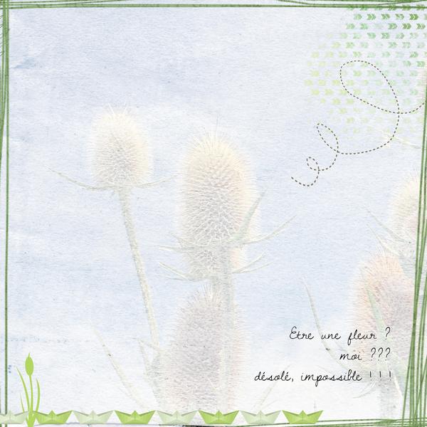 Si j'étais une fleur