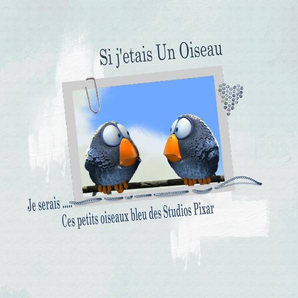 si j'etait un oiseaux