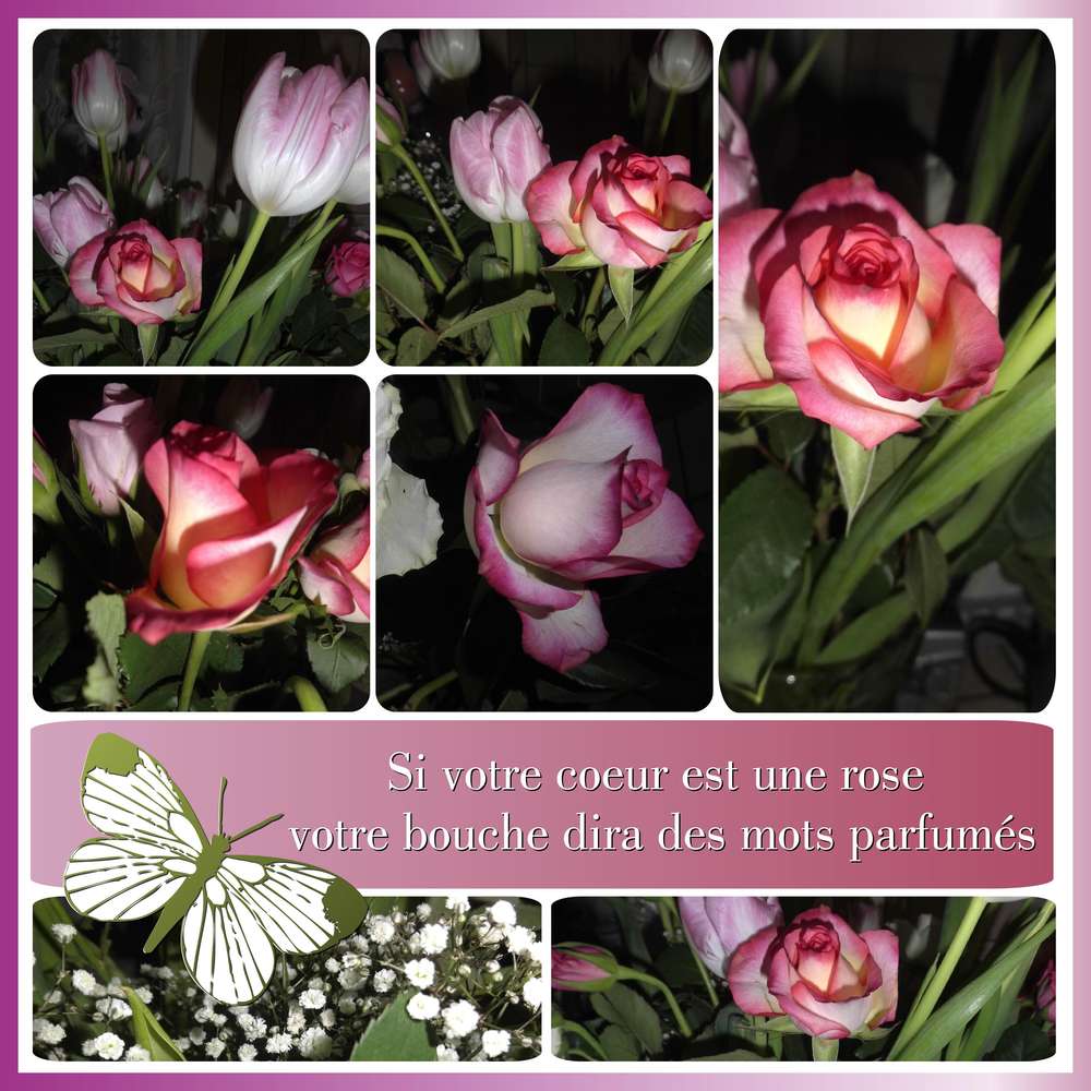 SI VOTRE COEUR EST UNE ROSE