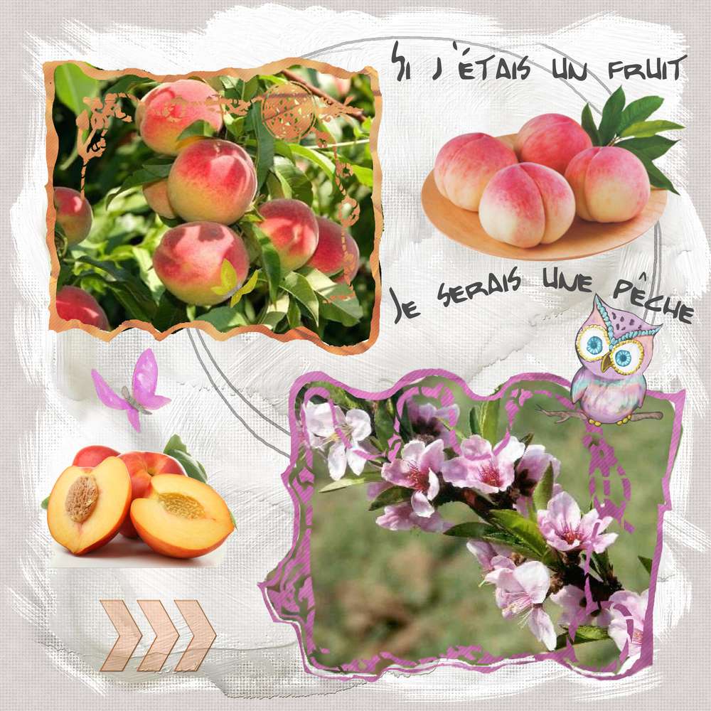 Si_j___tais_un_fruit