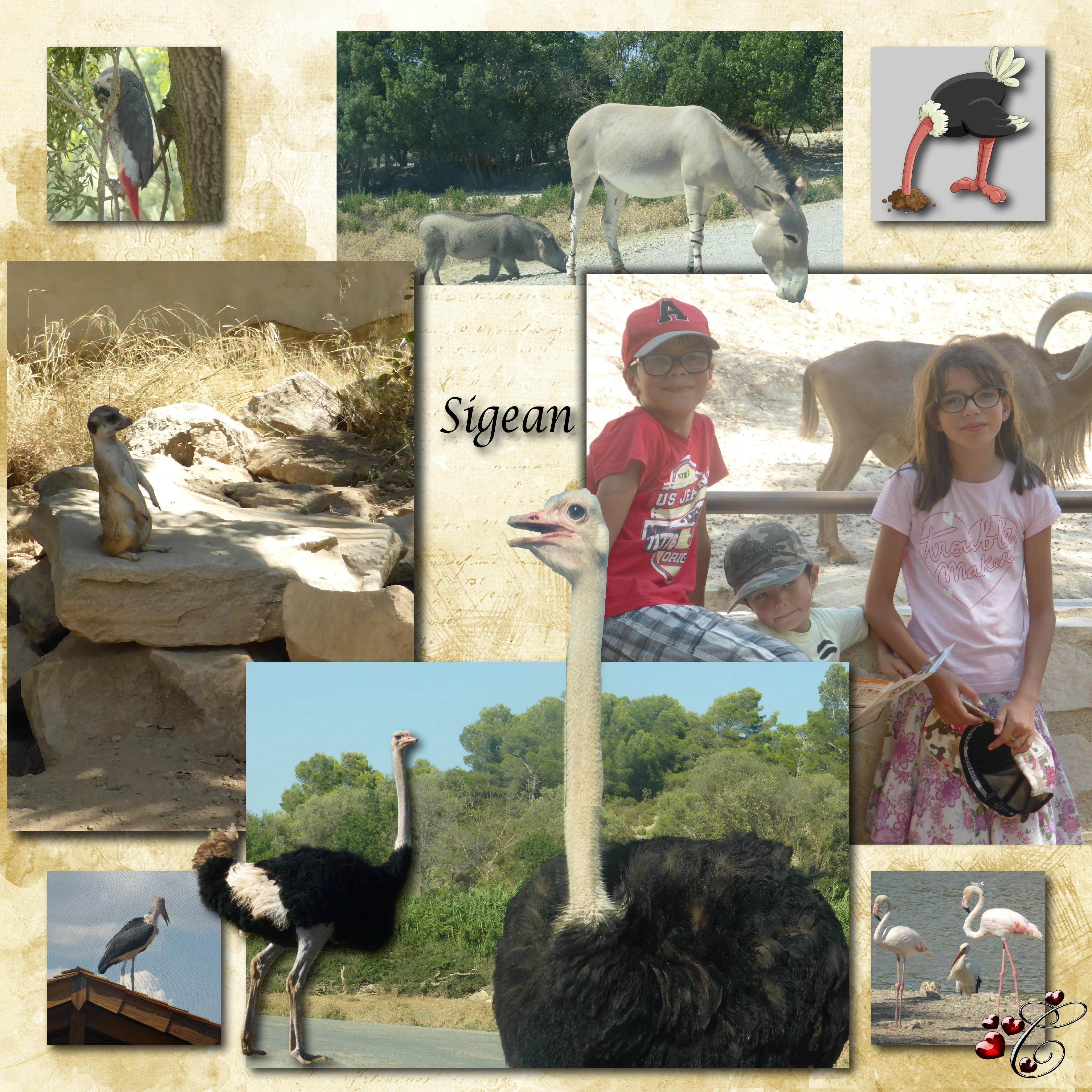 Sigean   Christine.jpg