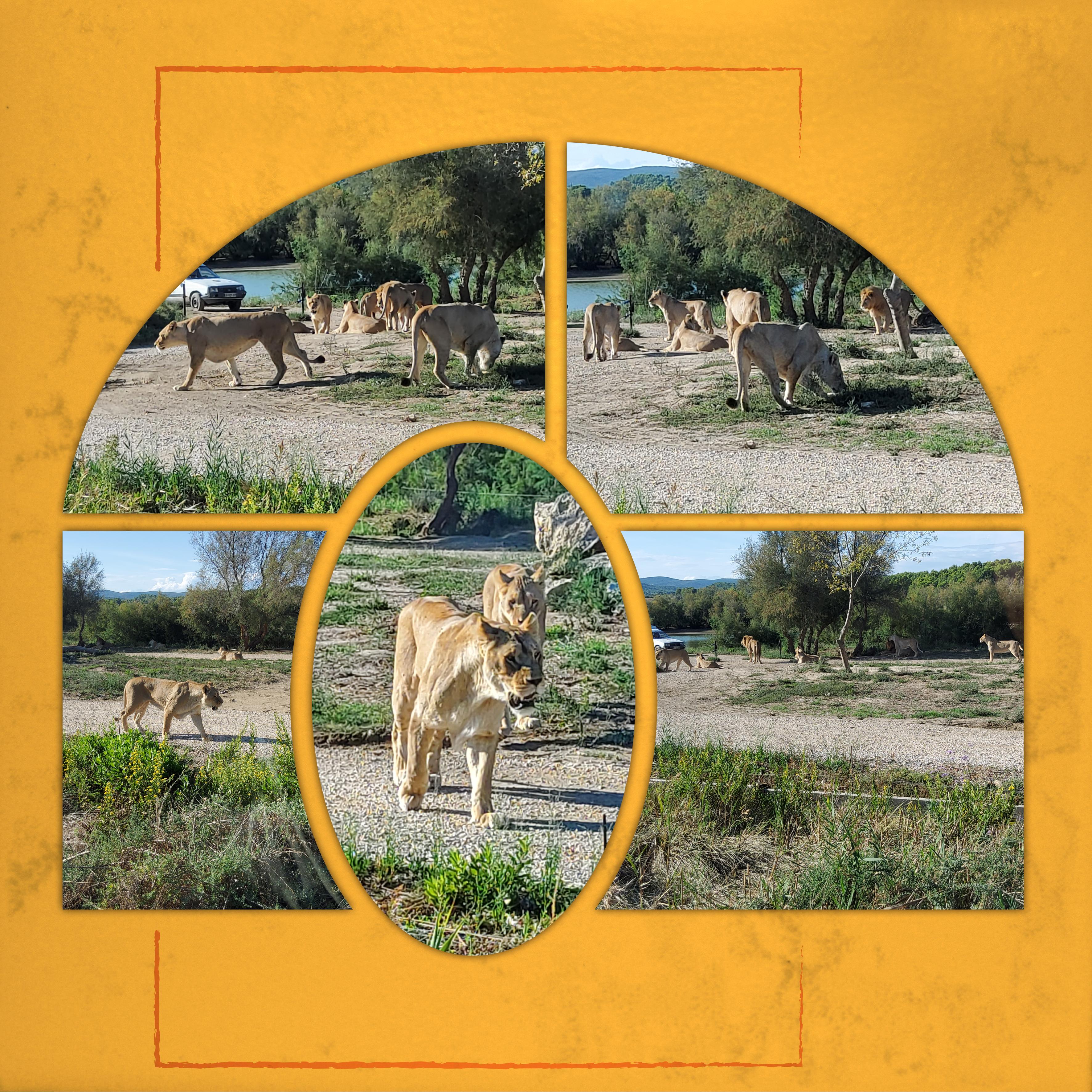 Sigean2 (page 4).jpg