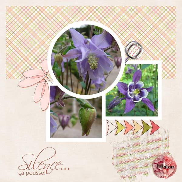 Silence ça pousse ...