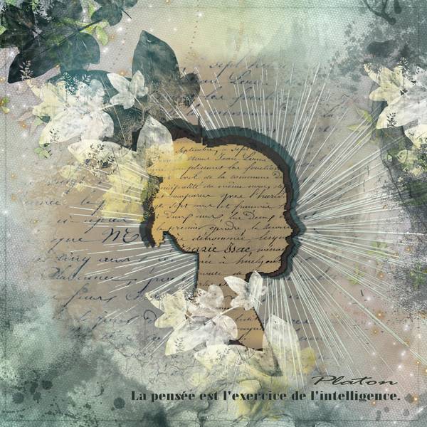 Silhouette façon Karine Skinospot