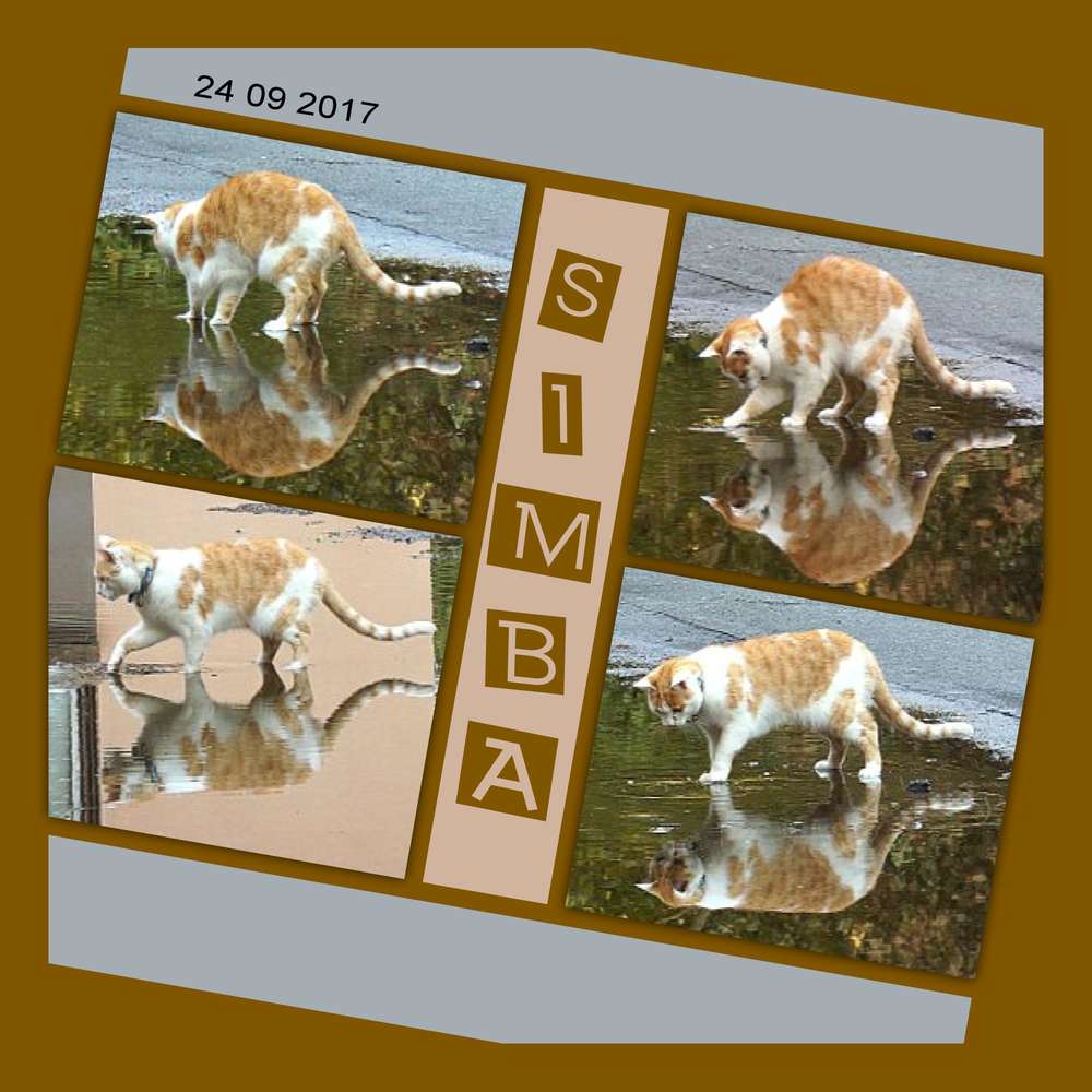 Simba