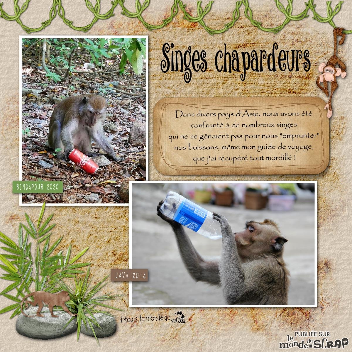 Singes chapardeurs