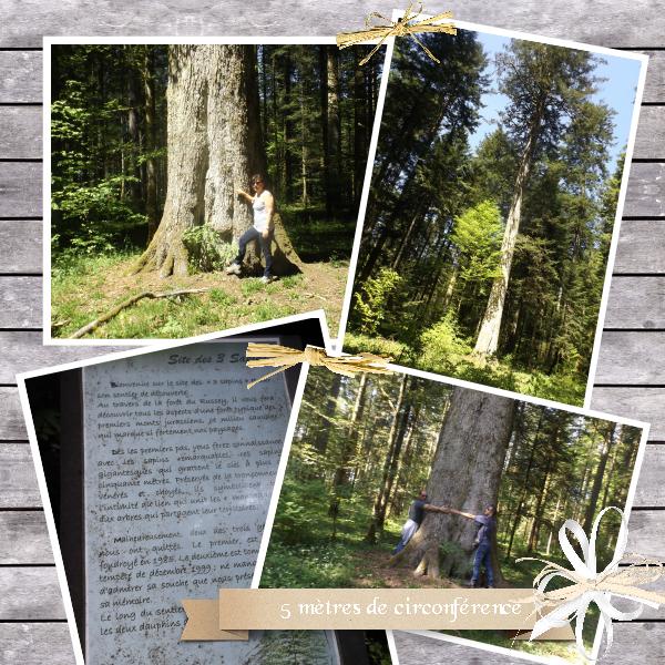 site des 3 sapins dans le Doubs