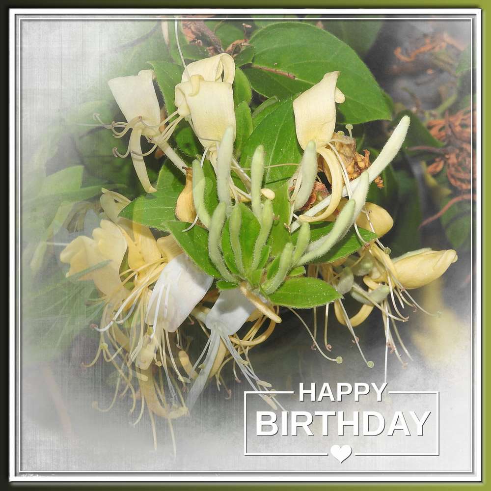 SNOOPY - HAPPY BIRTHDAY