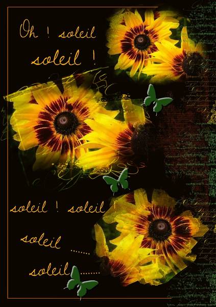 SOLEIL DEFI GILBERTE