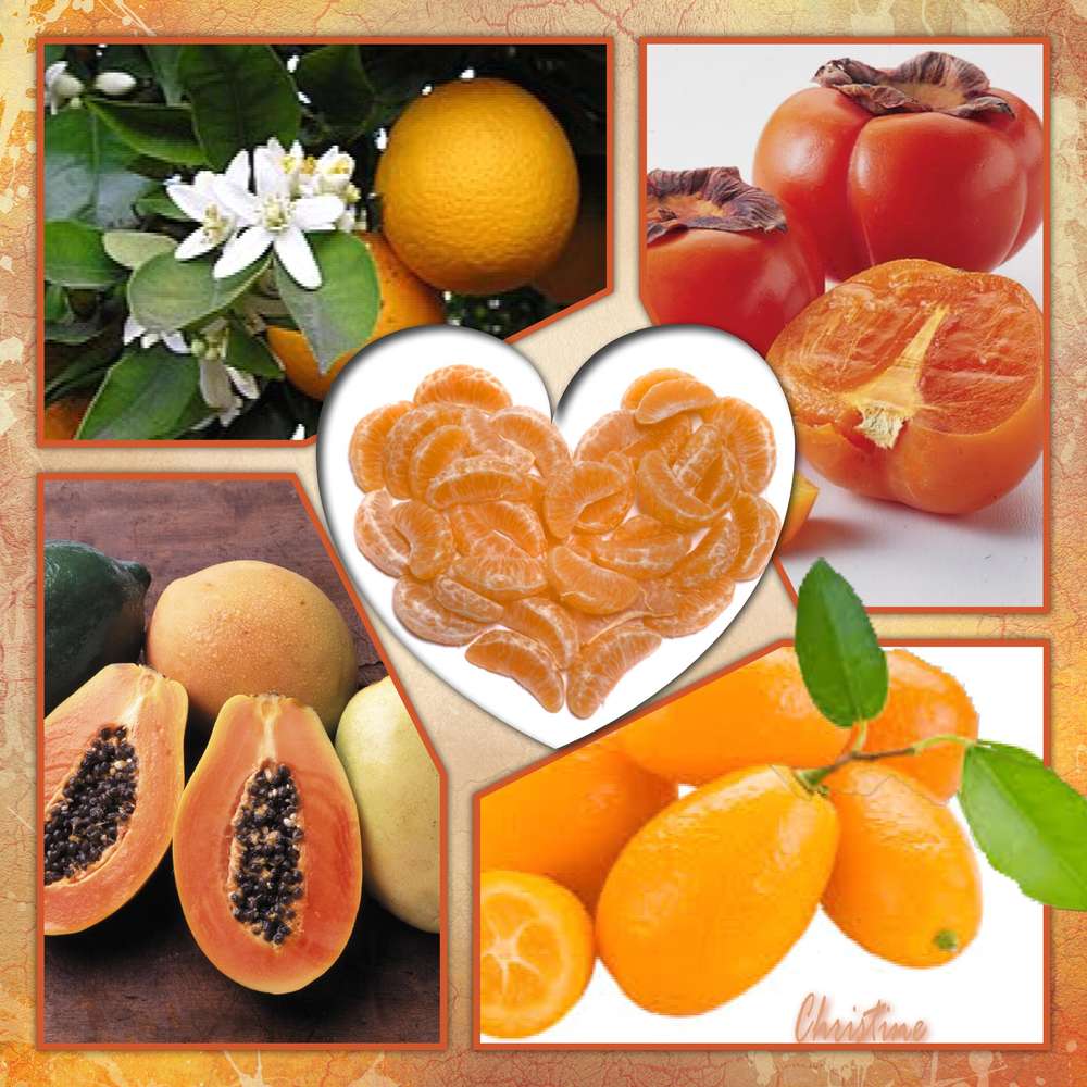 soleil_couchant_d__fi__orange