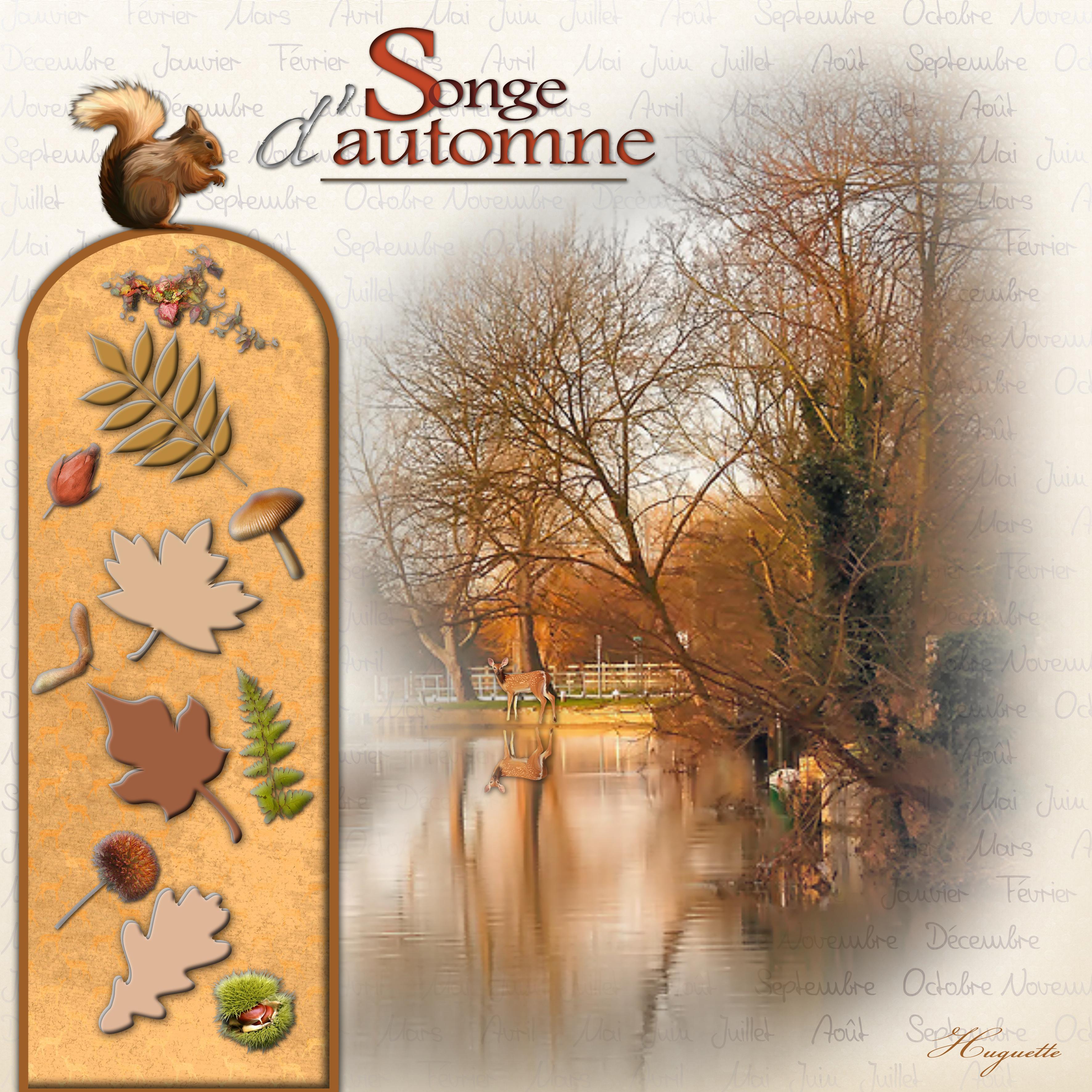 Songe d'Automne Huguette