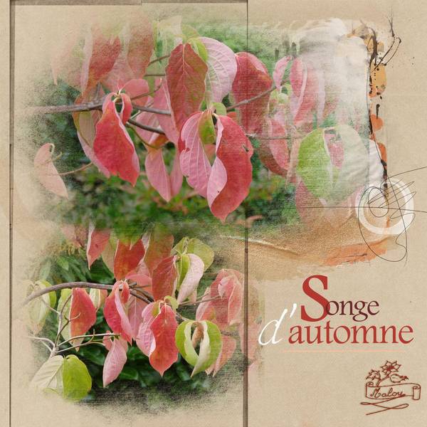 Songe d'automne