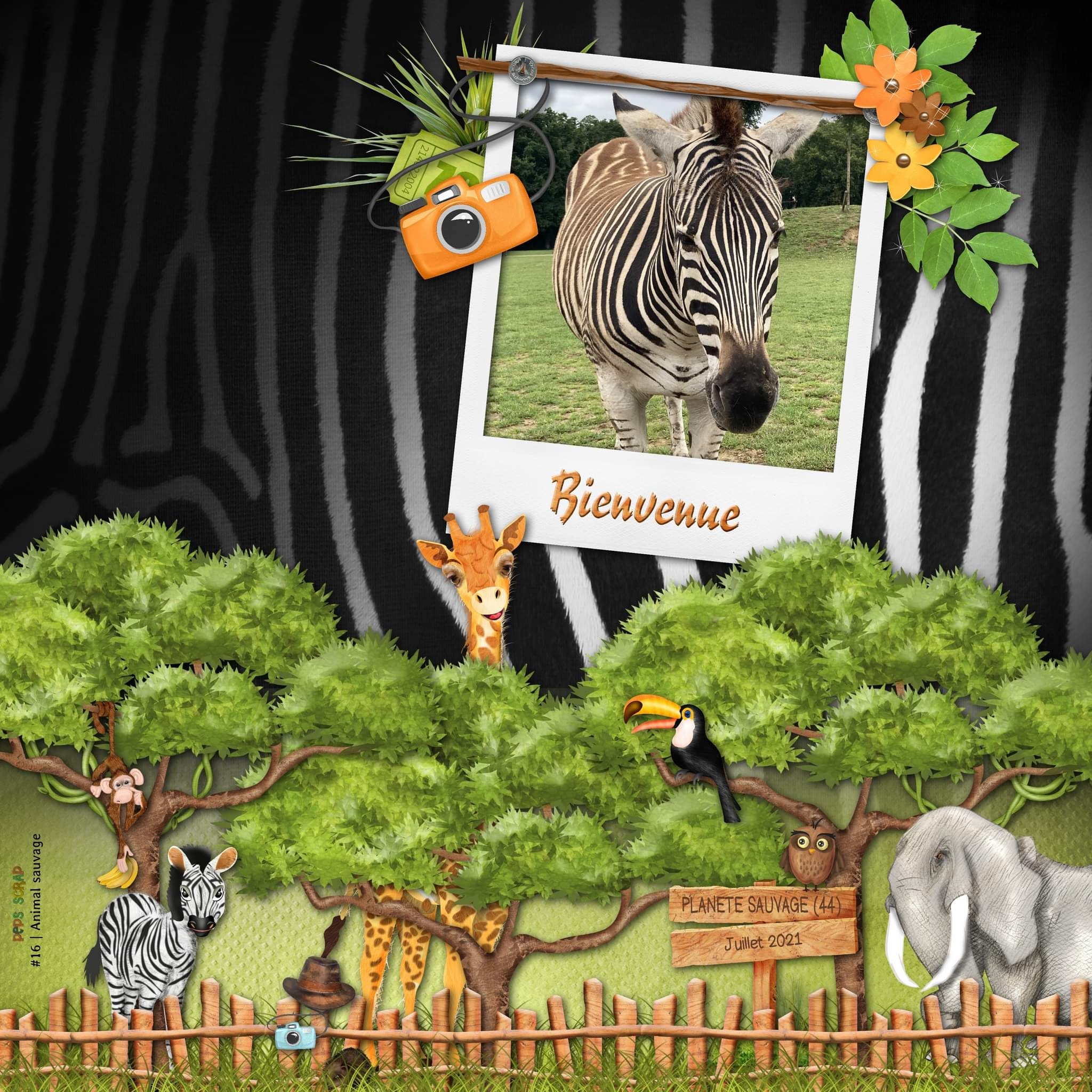 Sont belles mes rayures !