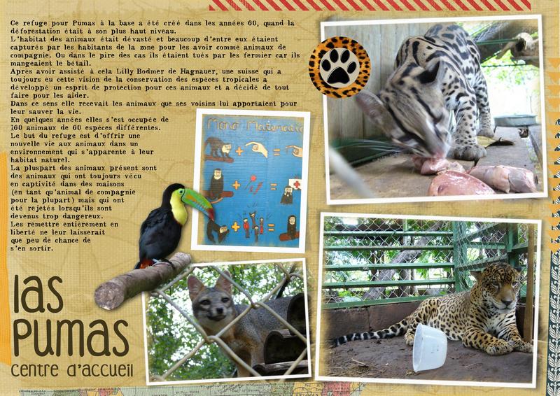 Sorte de zoo...