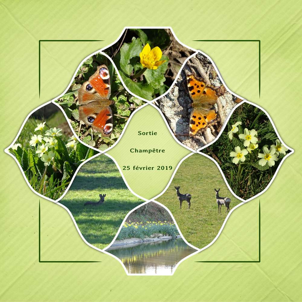 Sortie champetre 25 fevrier 2019