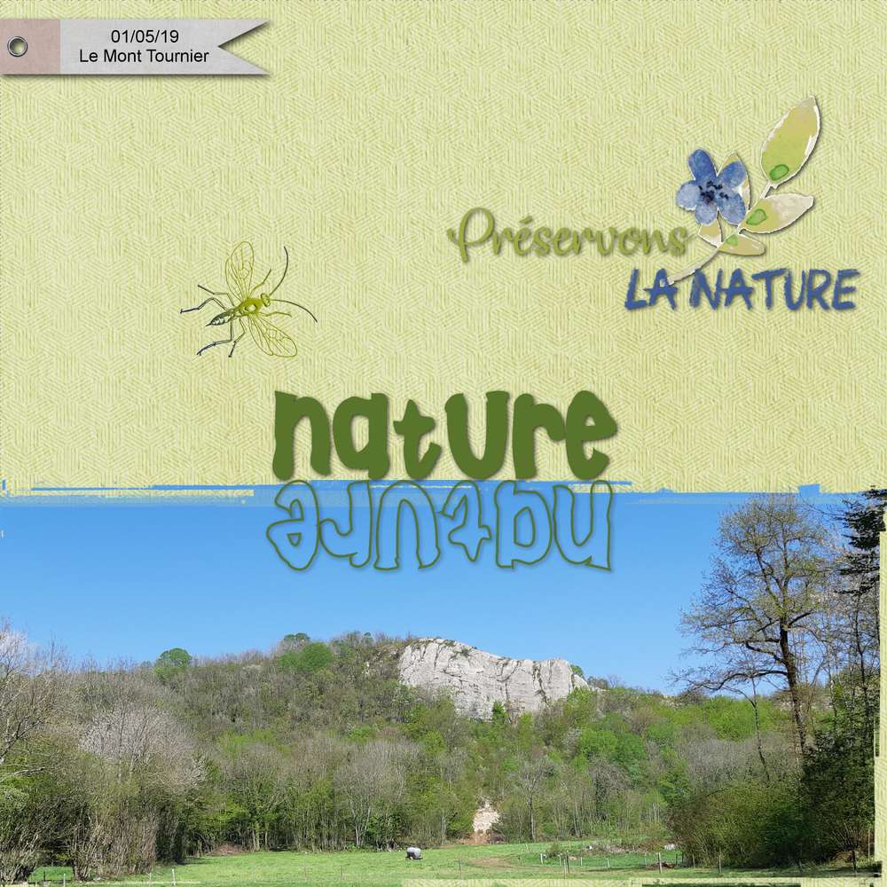 sortie nature