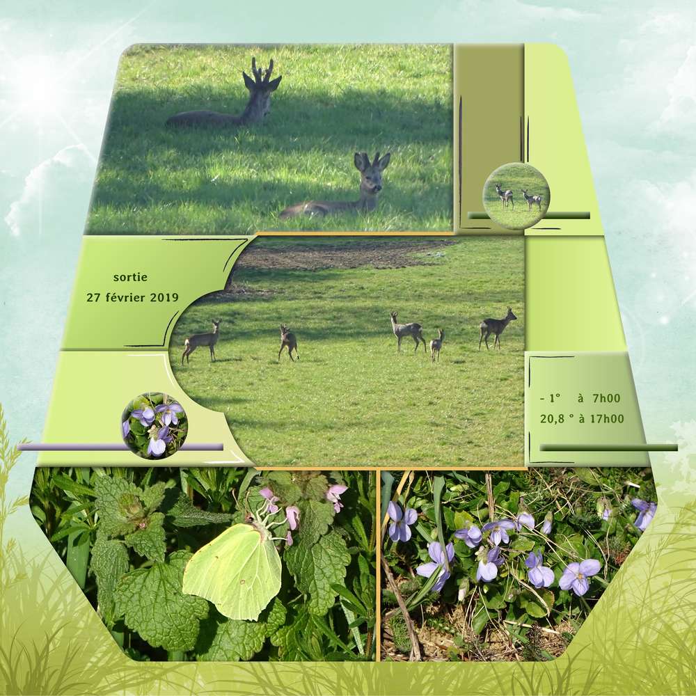 sortie sous le soleil estival en hiver