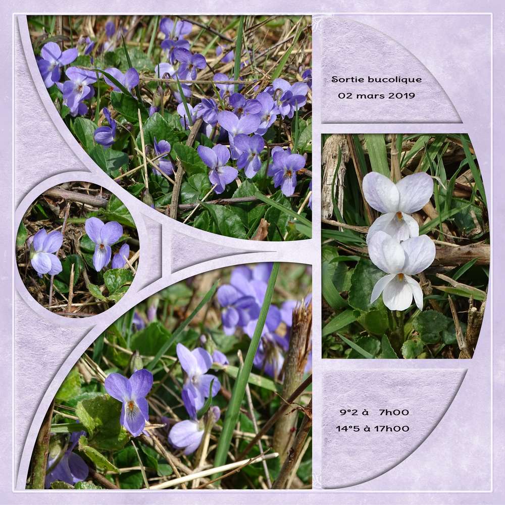 sortie_bucolique_-_02_mars_2019