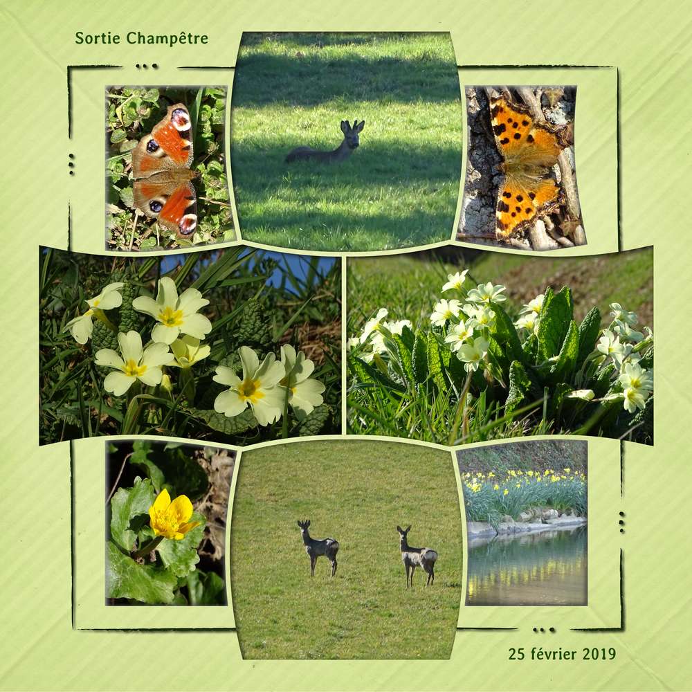 sortie_champetre_25_fevrier_2019