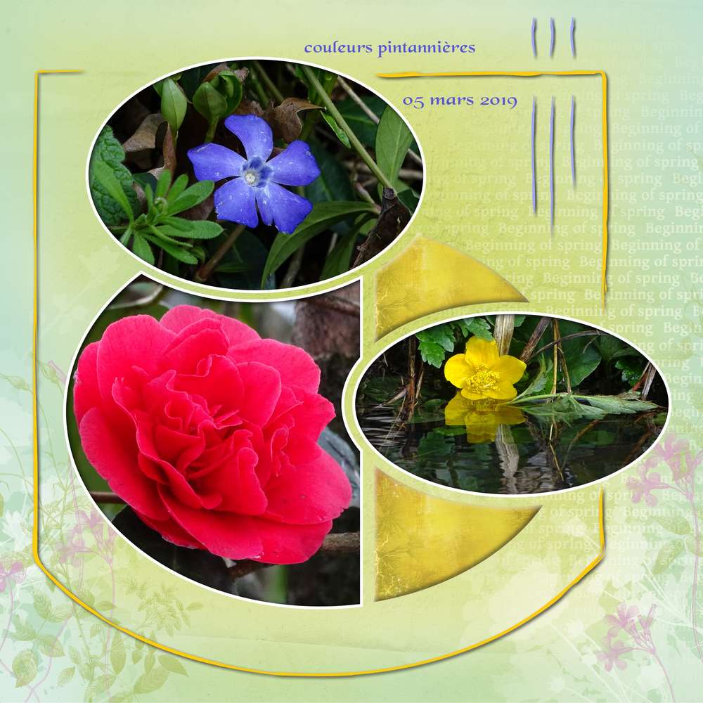 sortie_printanni__re_-_05_mars_2019_-