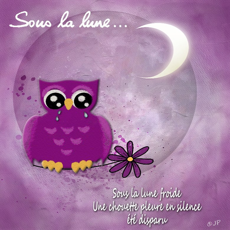 sous la lune 23 11 2025.jpg