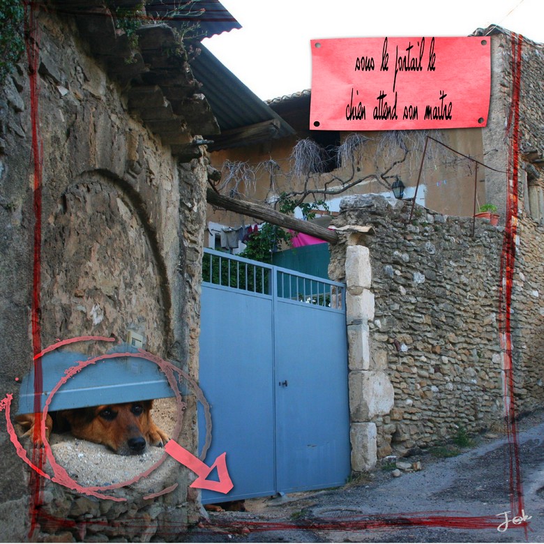 sous le portail le chien attend son maitre.jpg