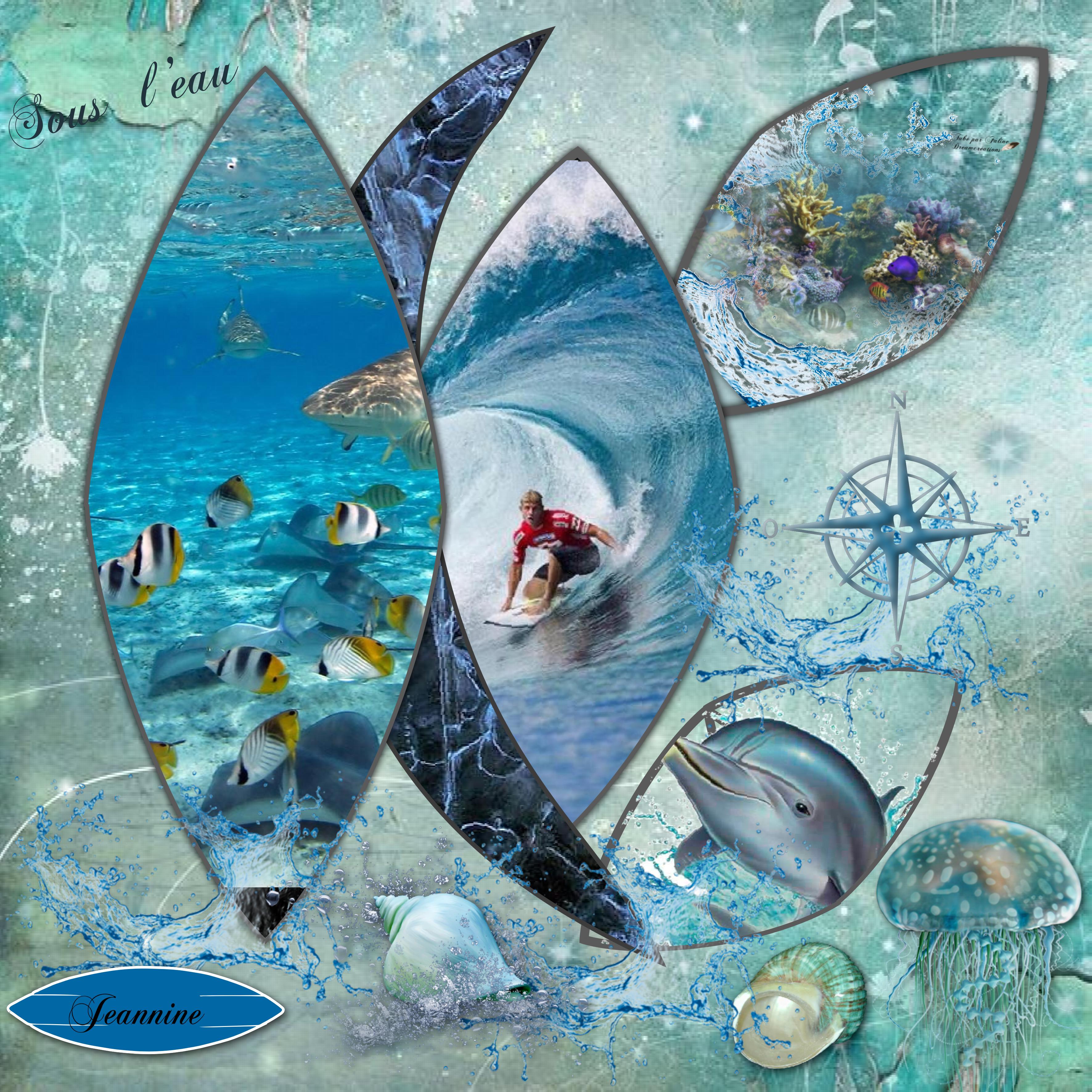 Sous l'eau_Jeannine.jpg