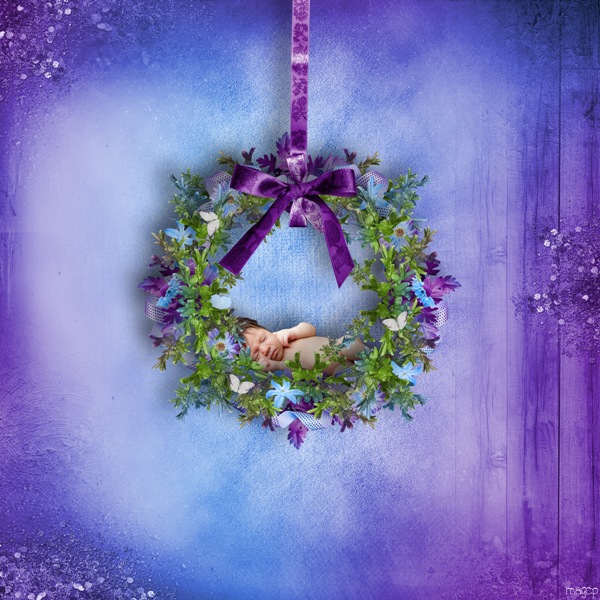 Sous une pluie d'étoiles