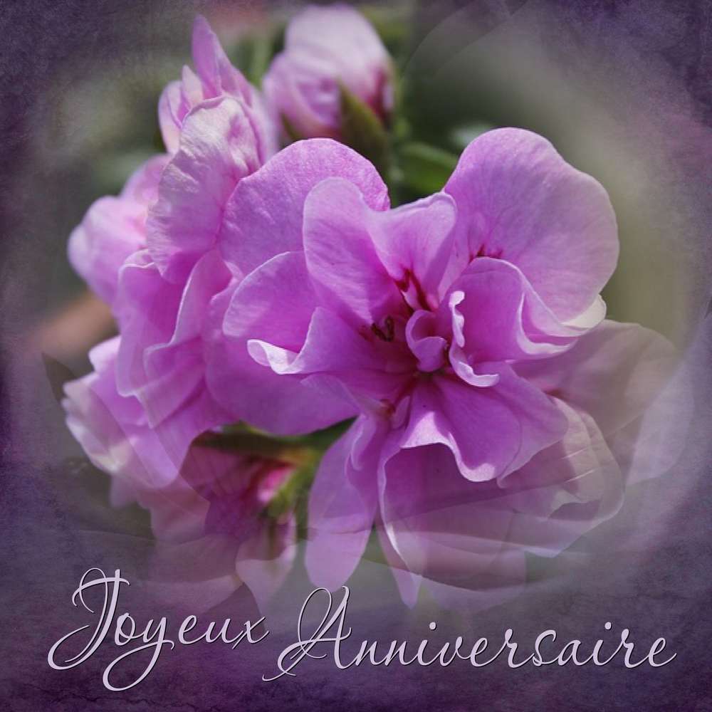 SOUSOUFAFA - JOYEUX ANNIVERSAIRE