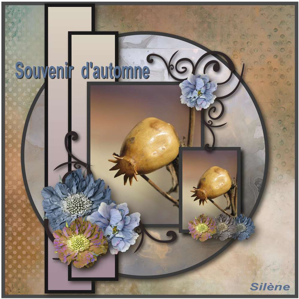 Souvenir d'automne