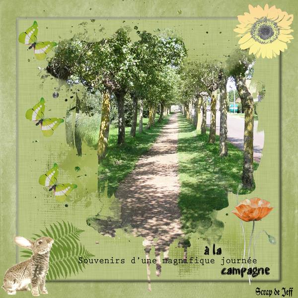 Souvenir d'une magnifique journée