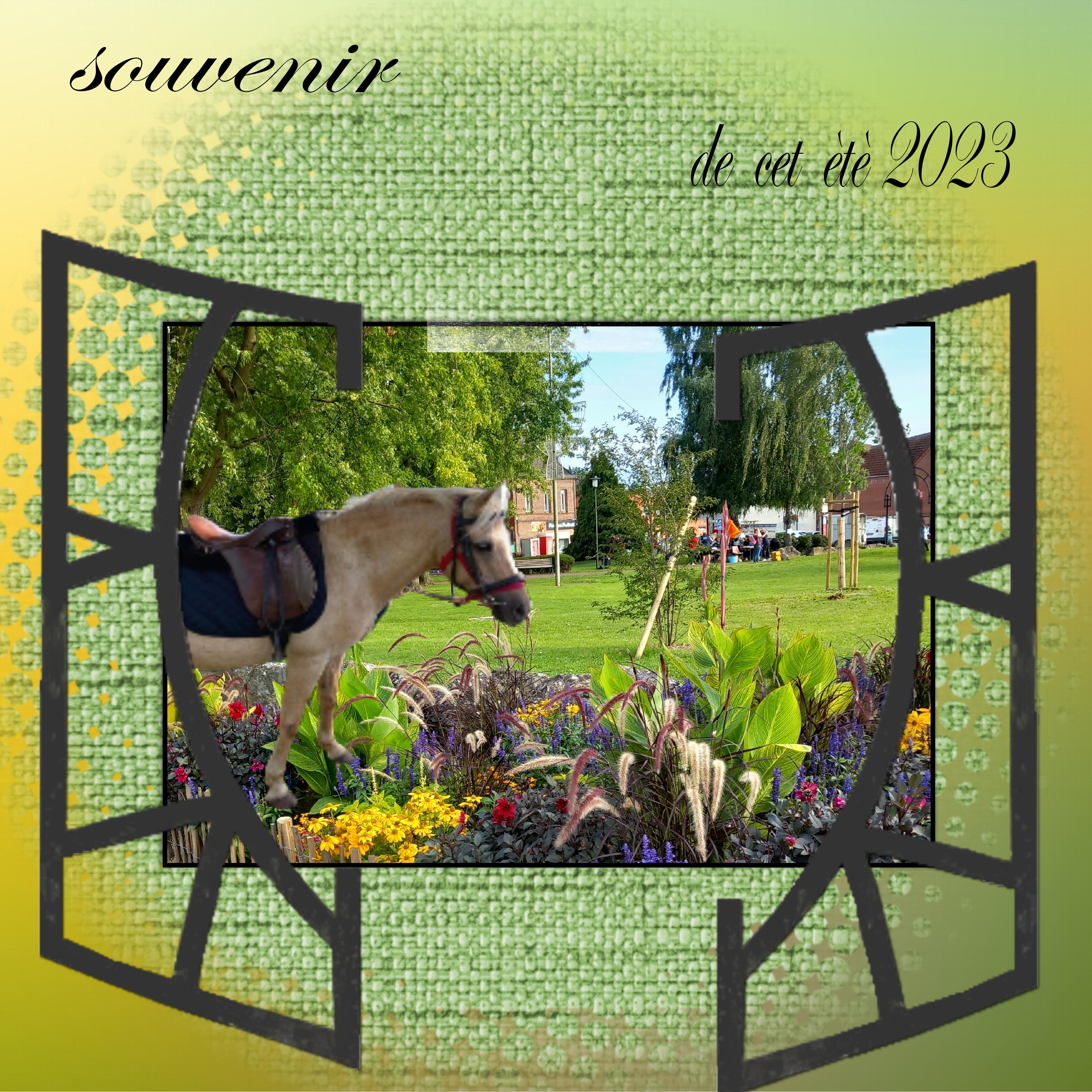 souvenir ete 2023.jpg