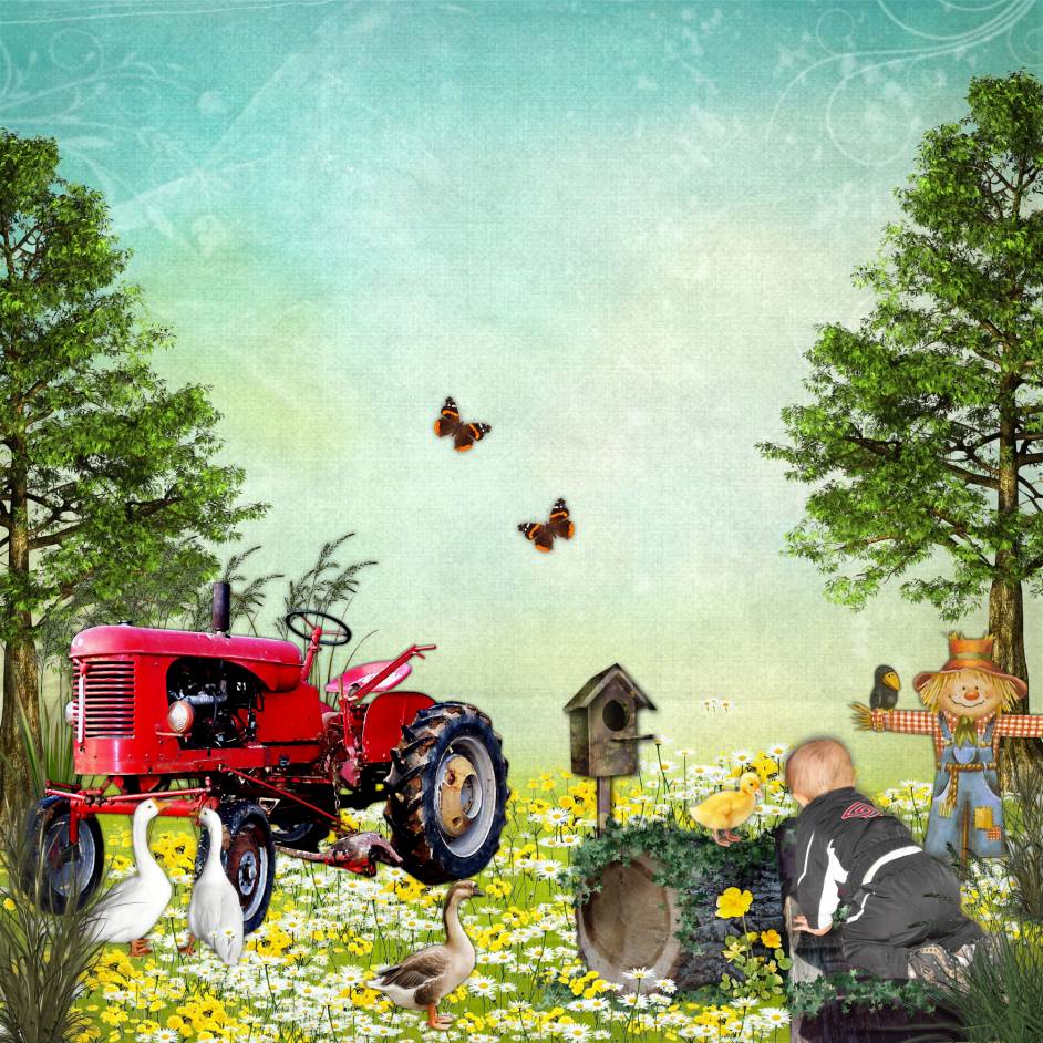 Souvenirs à  la ferme de kittyscrap