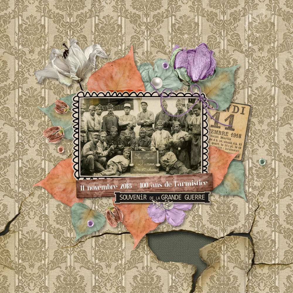 Souvenirs de la grande guerre