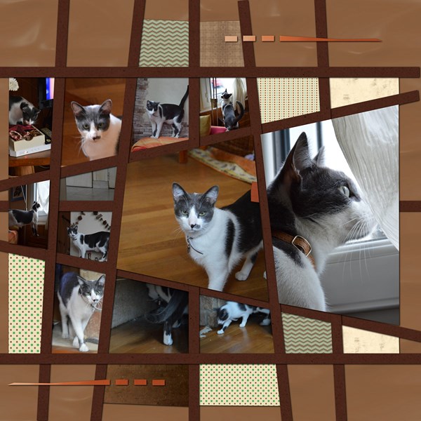 spécialement pour Arthéa ?