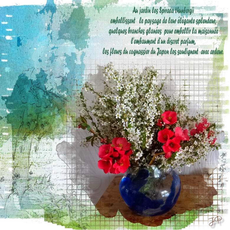spireea et cognassier.jpg photo perso de mon jardin