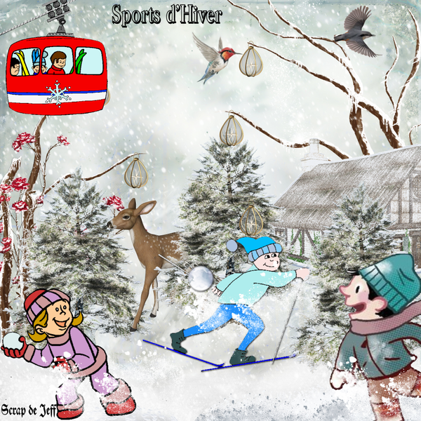 Sports d'hiver