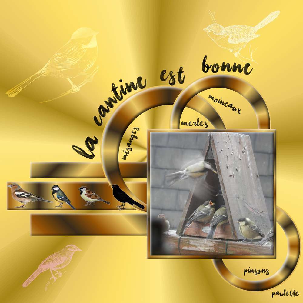 srplift jullet 2016 giecat