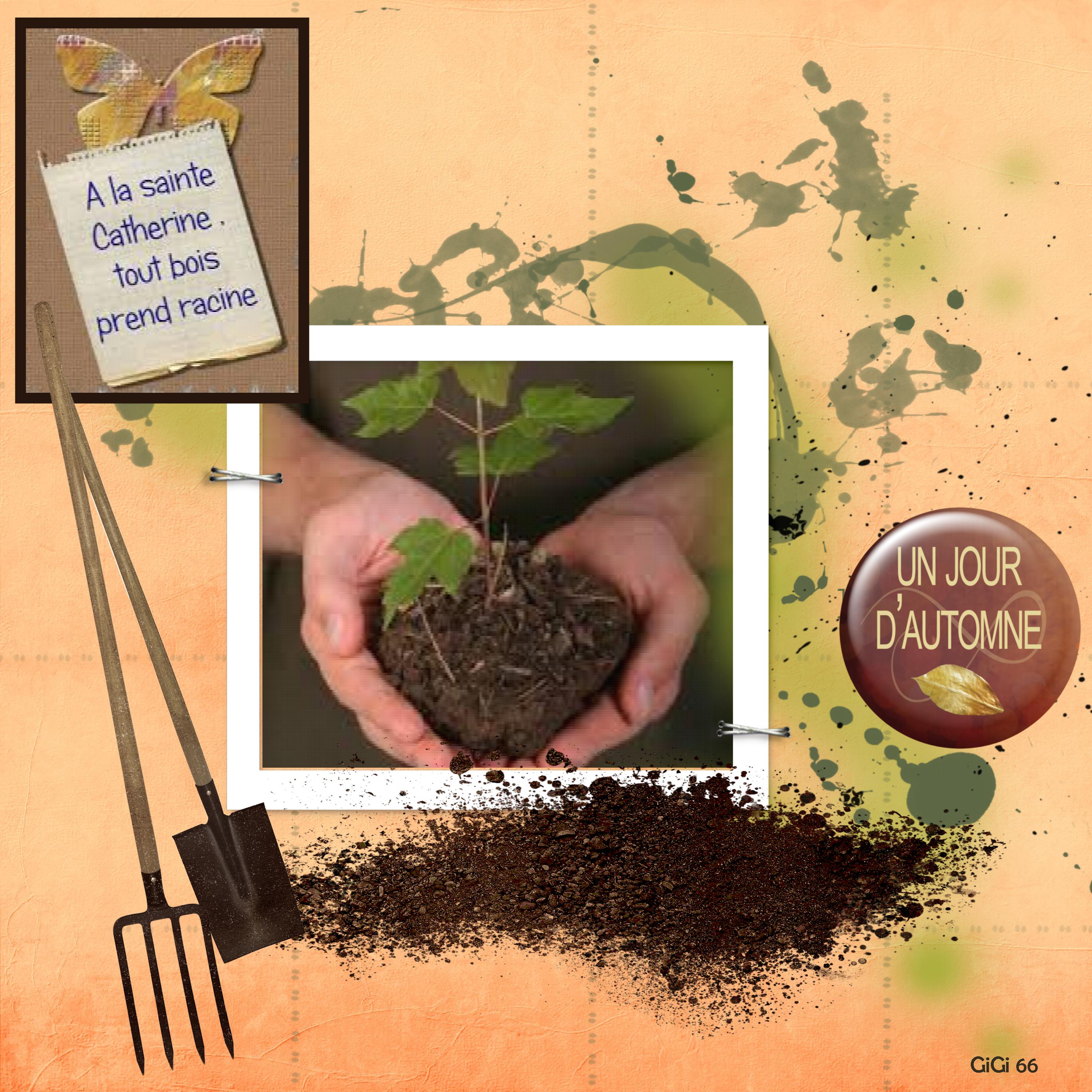 St Catherine-arbre-racine.jpg