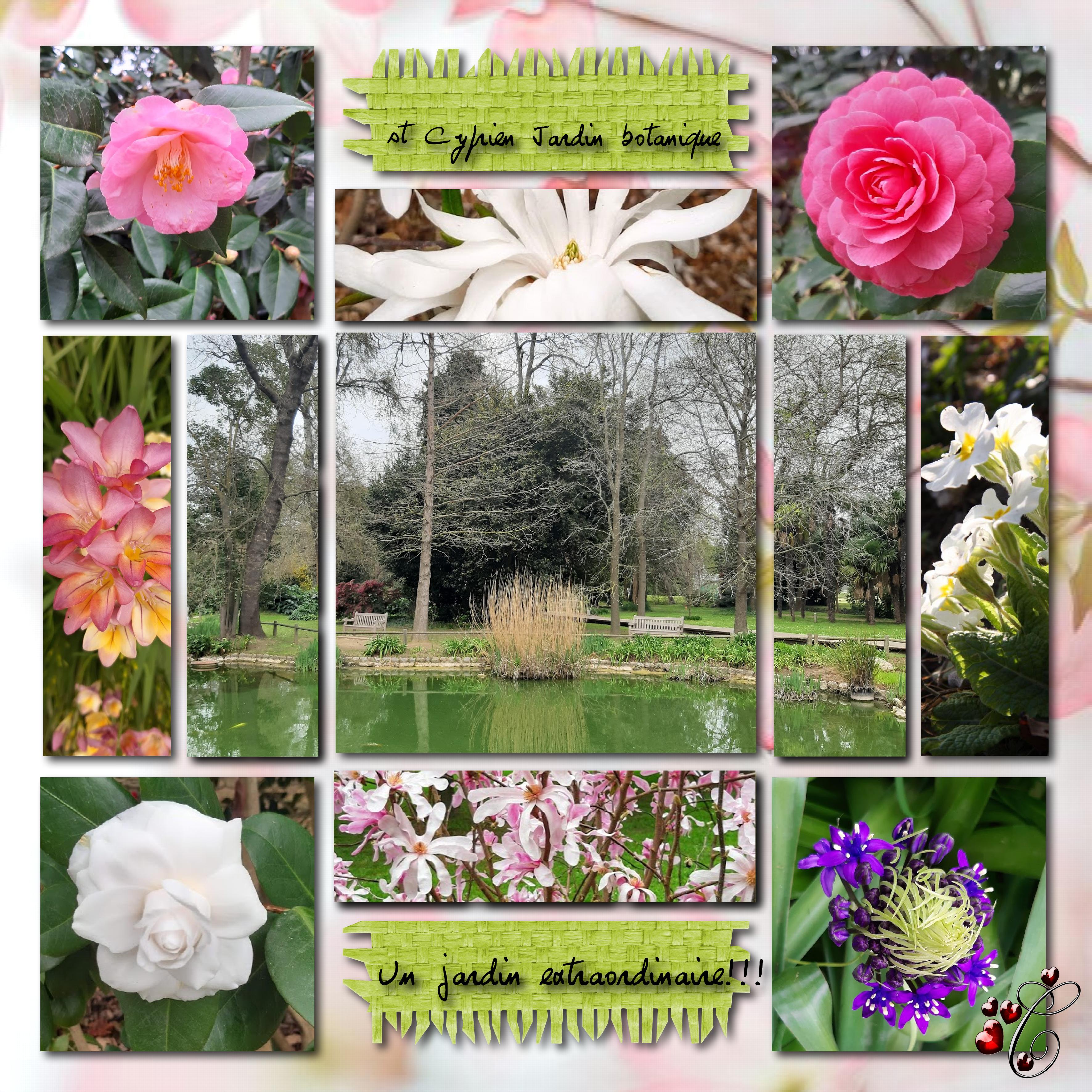 St Cyprien .Le jardin botanique