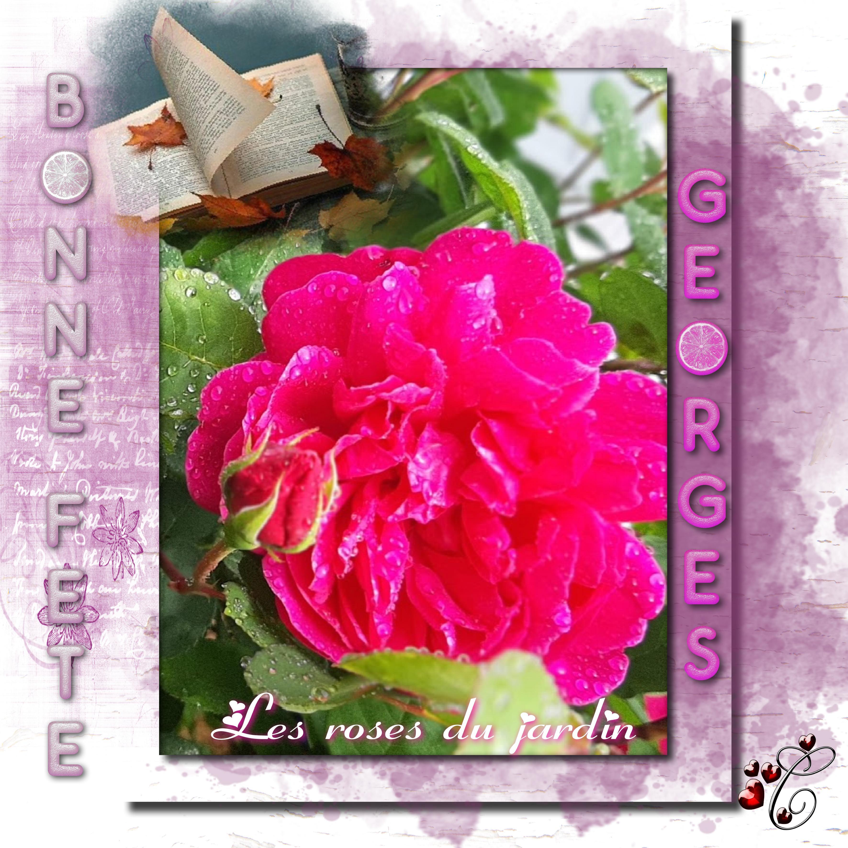 ST GEORGES ou Sant Jordi  en catalogne .jpg