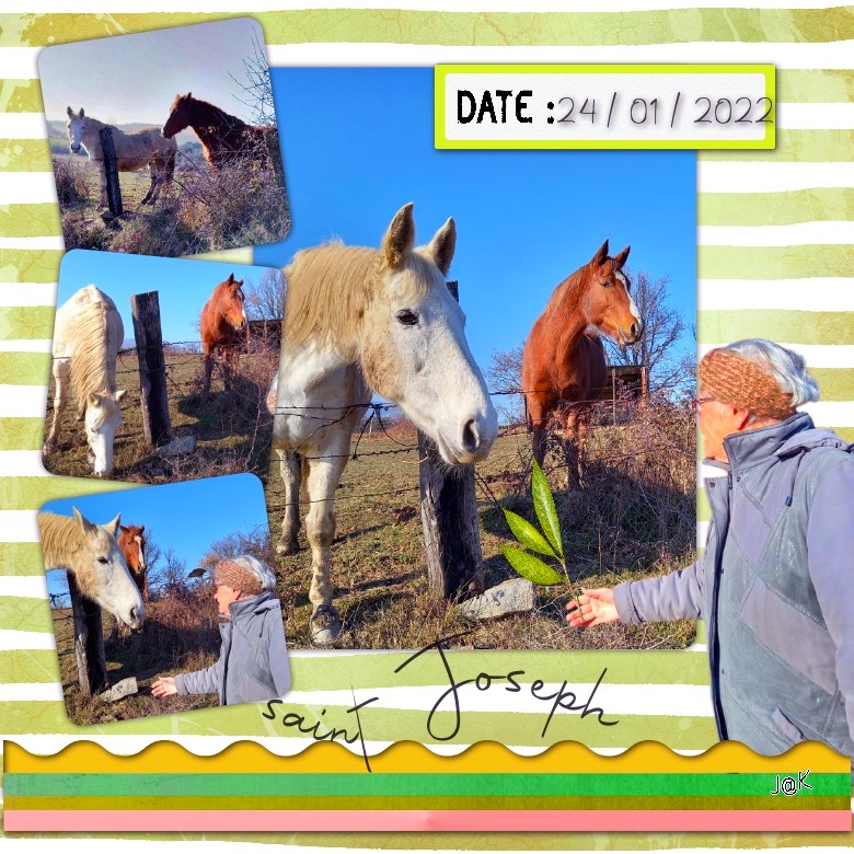 ST JOSEPH 24-01-22.jpg