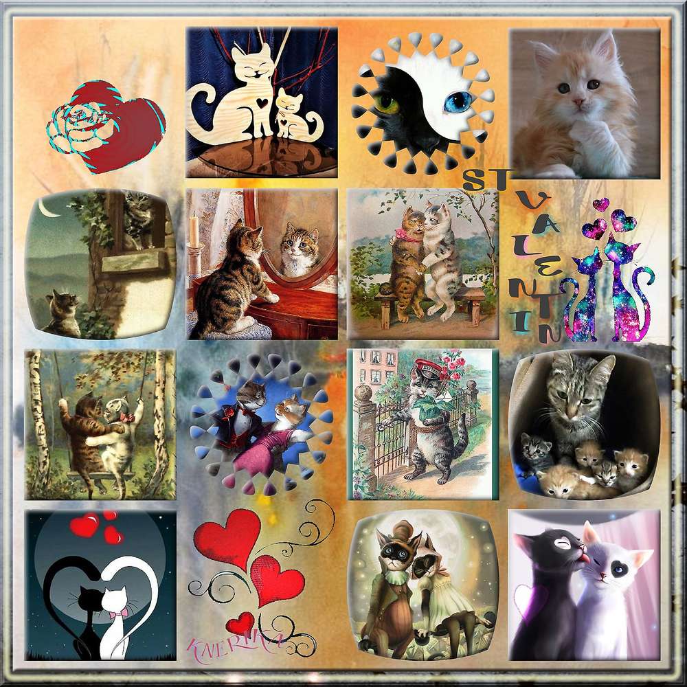 st_valentin_des_chats__13_02_2019_copie_OK